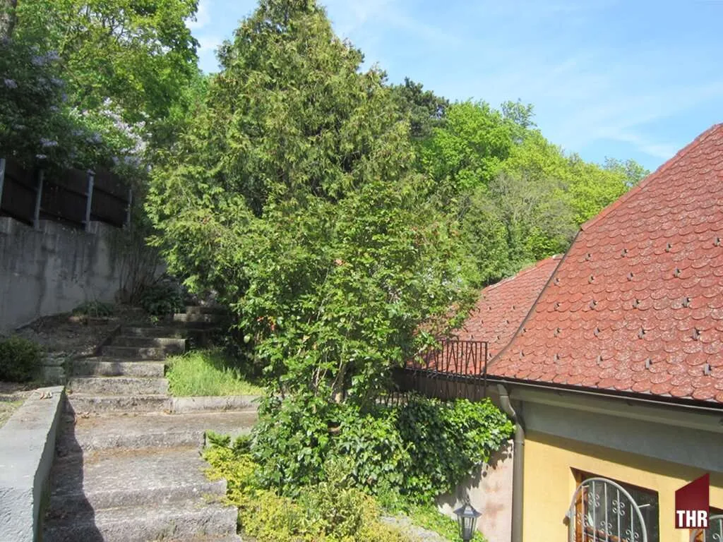 Traumhaftes Atrium-Einfamilienhaus in Baden - 5 Zimmer, Garten & Terrassen beim Kurpark von Baden! - Ansicht 3