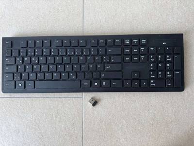 bambus fargesia günstig kaufen Bambus | Fargesia nitida main image 1