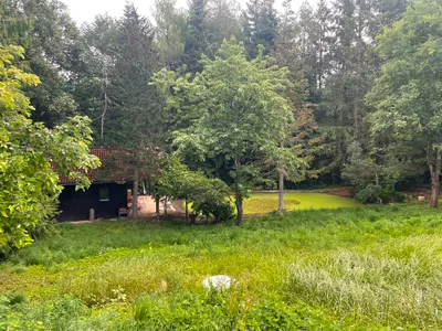 3-Zimmer-Wohnung mieten in Gmunden – 52 m², € 1.190 – Bild 11 von 14