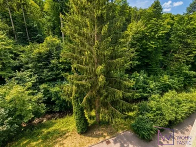 3-Zimmer-Wohnung kaufen in Sankt Pölten Land – 80,34 m², € 268.000 – Bild 3 von 19