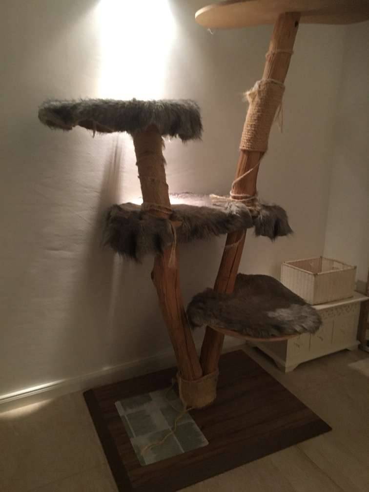 Naturkratzbaum Kratzbaum Natur Holz Design XL,  300,- (2731 Drfles) -  willhaben