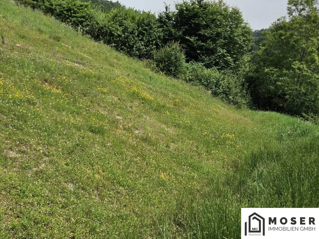 +++ Top Lage!!!!!! 2 Baugrundstücke in Hart bei Graz ++ - Ansicht 3