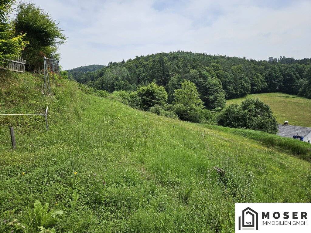 +++ Top Lage!!!!!! 2 Baugrundstücke in Hart bei Graz ++ - Ansicht 2