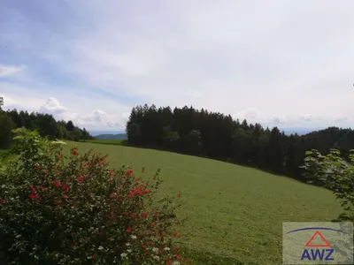 12-Zimmer-Grundstück kaufen in Perg – 250 m² – Bild 4 von 6