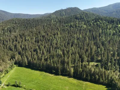 Immobilie kaufen in Villach Land – 152 m², € 489.000 – Bild 16 von 22
