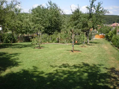 3-Zimmer-Haus kaufen in Oberwart – 65 m², € 219.000 – Bild 32 von 40