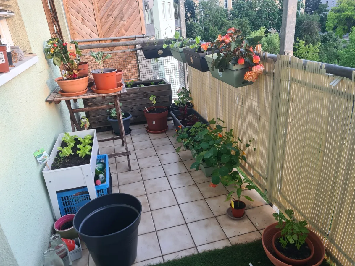 Wohnung – Lend - Ansicht 2