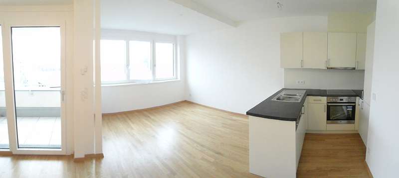 single wohnung wien willhaben