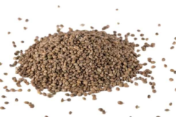 Nutzhanf CBD Saatgut 150g - Hanfsamen EU-Zertifiziert,  15,90 (4470 Enns)  - willhaben