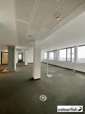 Gewerbeimmobilie mieten in Wien – 332 m², € 6.441 – Bild 5 von 10