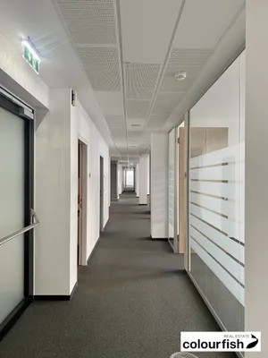 Gewerbeimmobilie mieten in Wien – 332 m², € 6.441 – Bild 4 von 10