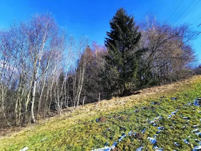 Grundstück kaufen in Bruck-Mürzzuschlag – 5 515 m², € 115.800 – Bild 5 von 8