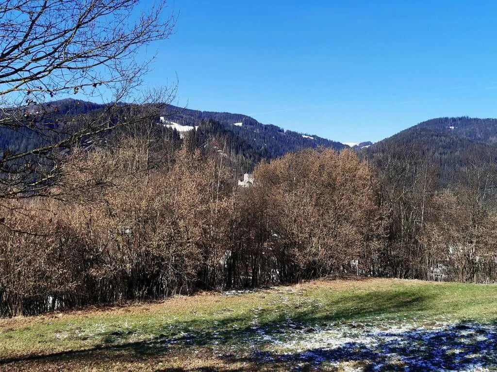 5.500m² attraktives Freiland direkt anschließend an gewidmetes Bauland - Ansicht 2