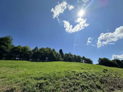 Gewerbeimmobilie kaufen in Deutschlandsberg – 1 637 m², € 199.000 – Bild 10 von 11
