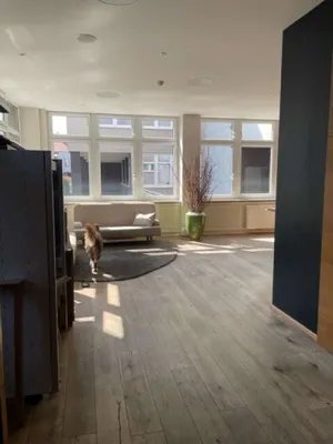 Gewerbeimmobilie mieten in Wien – 269,42 m², € 5.046 – Bild 5 von 11