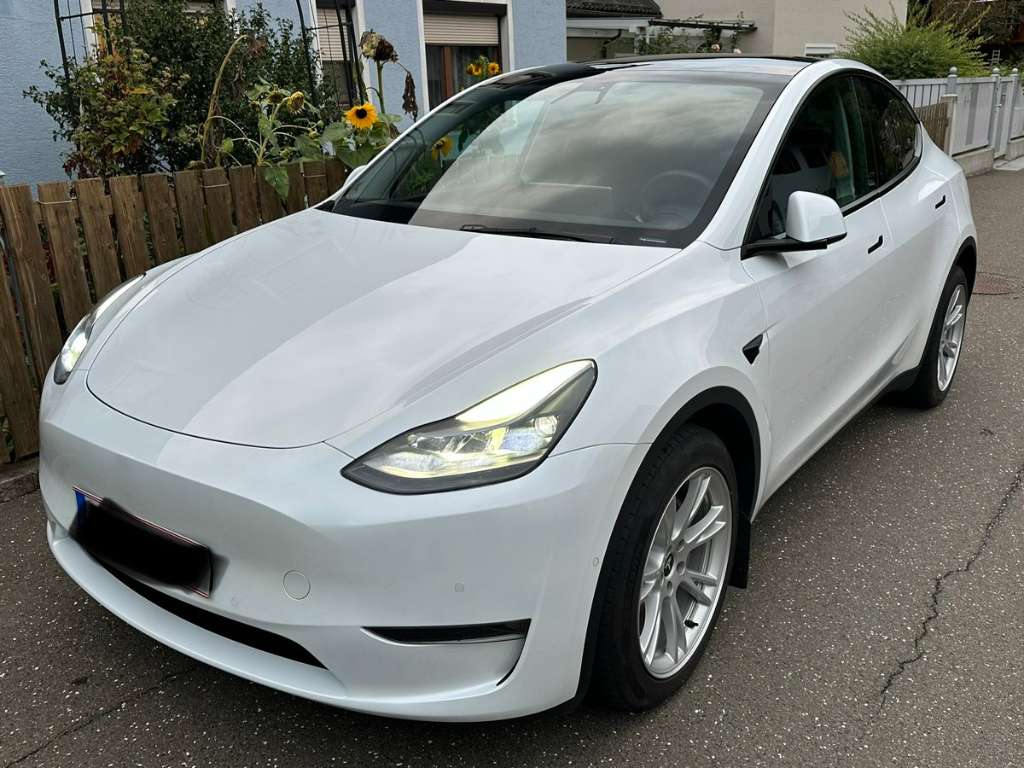 Marktstart in Ö - Tesla Model Y: Jetzt kommt das E-SUV auch zu uns