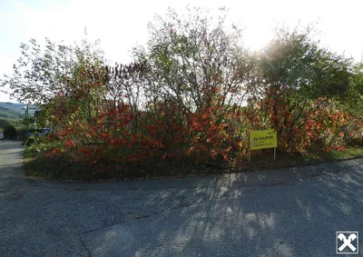 Grundstück kaufen in Sankt Pölten Land – 1 430 m², € 380.000 – Bild 2 von 4