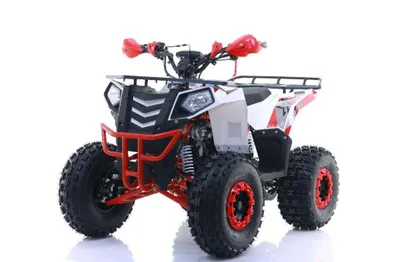 Kinderquad/ Jugendquad/ Quad 125CC XTL...