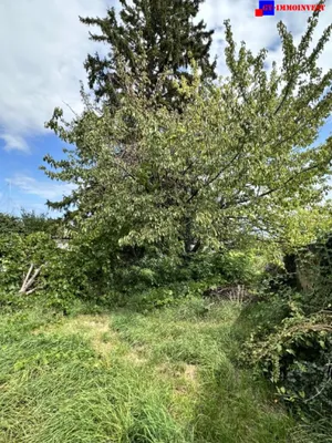 3-Zimmer-Haus kaufen in Eisenstadt - Umgebung – 55 m², € 177.000 – Bild 21 von 25