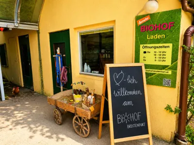 4-Zimmer-Haus kaufen in Mödling – 175 m², € 714.900 – Bild 13 von 19