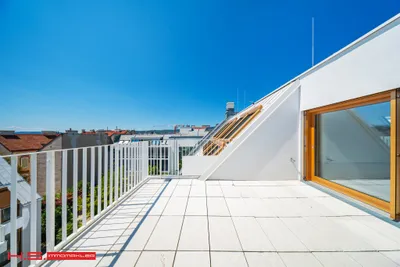 Top 43
