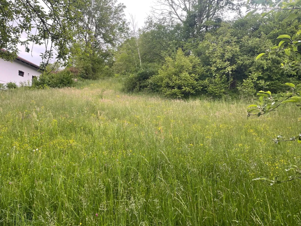 Traumhaftes Baugrundstück in Ruhelage von Moosburg - Ansicht 3