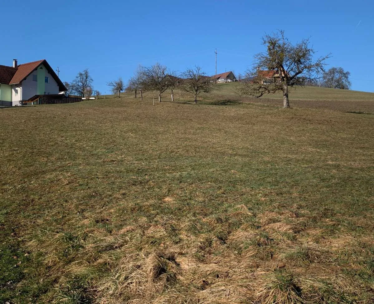Großzügiges Baugrundstück (1.562 m²) in der Weststeiermark in sonniger Lage - voll aufgeschlossen & Koralmbahn-Nähe - Ansicht 3