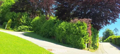 Immobilie kaufen in Amstetten – 1 973 m², € 145.000 – Bild 2 von 12