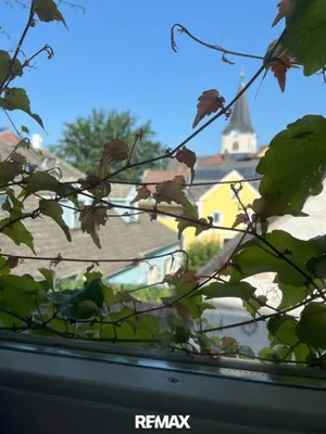 8-Zimmer-Haus kaufen in Gmünd – 299 m², € 385.000 – Bild 8 von 15