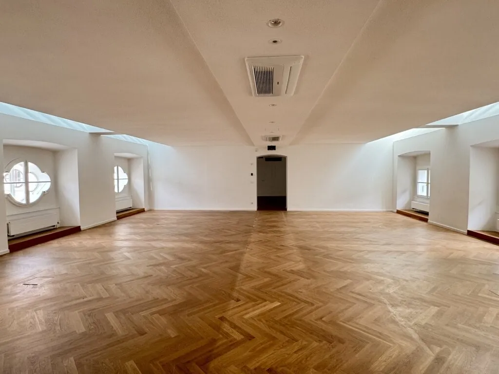 Repräsentative Bürofläche im Palais Harrach (1039m²) - Ansicht 3