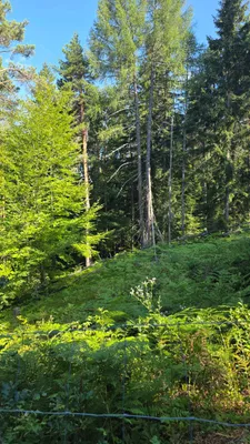 3-Zimmer-Wohnung mieten in Sankt Veit an der Glan – 49 m², € 200 – Bild 8 von 22
