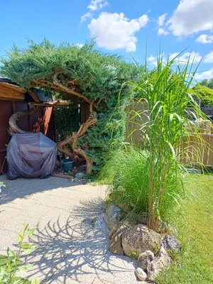 Immobilie kaufen in Neusiedl am See – 120 m², € 16.900 – Bild 5 von 22