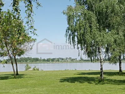 Immobilie kaufen in Neusiedl am See – 3 451 m², € 498.000 – Bild 3 von 4