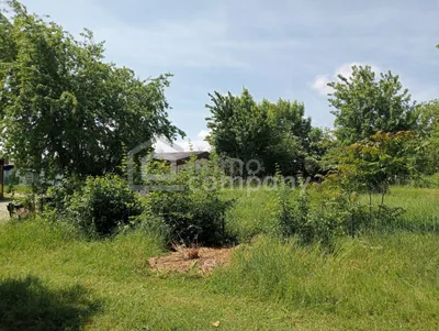 Immobilie kaufen in Neusiedl am See – 3 451 m², € 498.000 – Bild 2 von 4