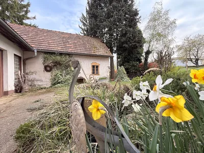 6-Zimmer-Haus kaufen in Südoststeiermark – 145 m², € 109.000 – Bild 8 von 20