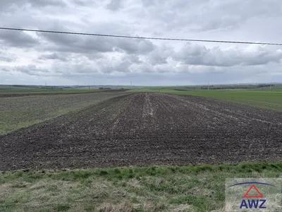 Grundstück kaufen in Gänserndorf – 40 000 m² – Bild 4 von 4
