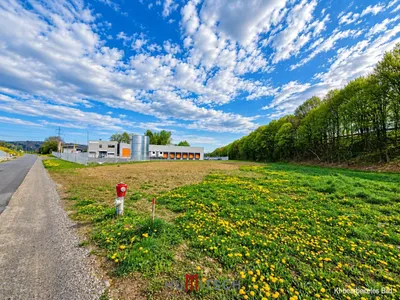 Immobilie kaufen in Leibnitz – 20 000 m² – Bild 6 von 6
