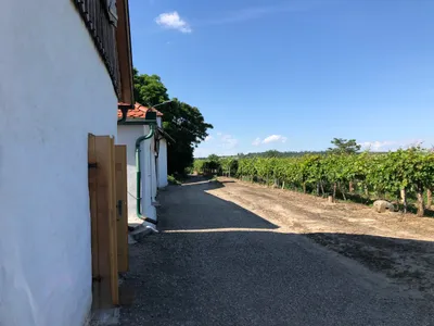 3-Zimmer-Haus kaufen in Hollabrunn – 80 m², € 98.000 – Bild 4 von 18