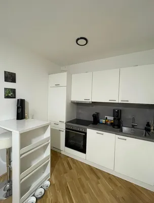 1-Zimmer-Wohnung mieten in Urfahr-Umgebung – 31 m², € 520