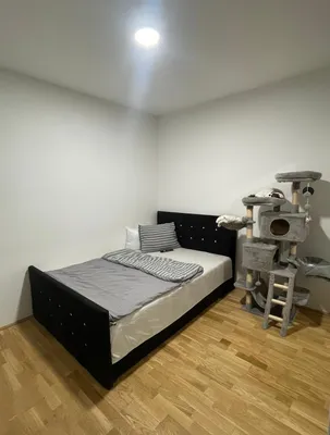 1-Zimmer-Wohnung mieten in Urfahr-Umgebung – 31 m², € 520 – Bild 9 von 13
