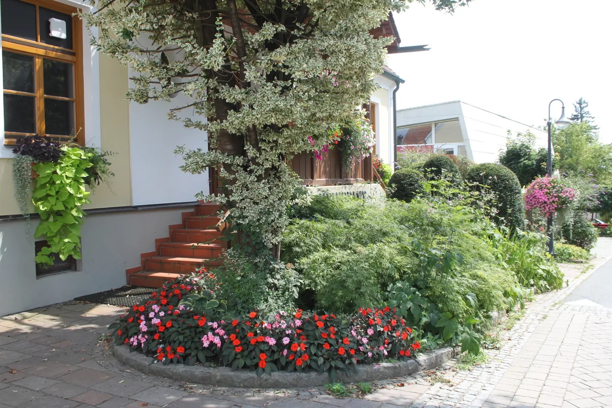 Wohnung/ Geschäftsfläche ab sofort zu vermieten - Ansicht 2