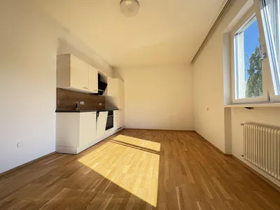 1-Zimmer-Wohnung mieten in Linz – 26,09 m², € 521 – Bild 2 von 6