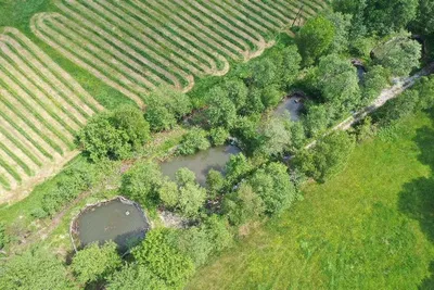 Immobilie kaufen in Voitsberg – 7 500 m², € 150.000 – Bild 1 von 6
