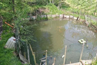 Immobilie kaufen in Voitsberg – 7 500 m², € 150.000 – Bild 4 von 6