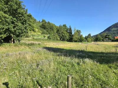 Grundstück zum Kauf in 8121 Graz-Umgebung
