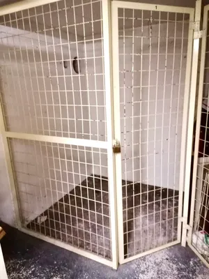 3-Zimmer-Wohnung mieten in Klagenfurt – 75 m², € 1.200 – Bild 18 von 22