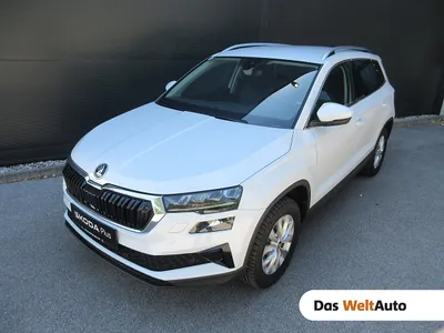 Skoda Karoq 4x4 Selection TDI DSG