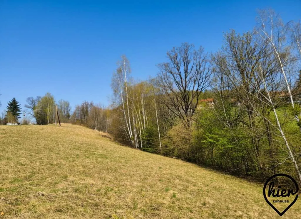 Nähe Stainz: Tolles Baugrundstück in erhöhter Lage - Ansicht 2