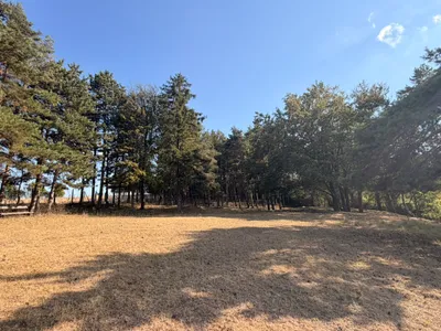 Grundstück kaufen in Korneuburg – 5 600 m² – Bild 2 von 5