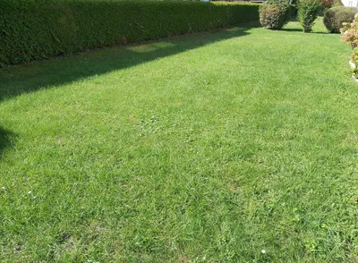3-Zimmer-Wohnung kaufen in Salzburg Stadt – 76 m², € 369.000 – Bild 23 von 26
